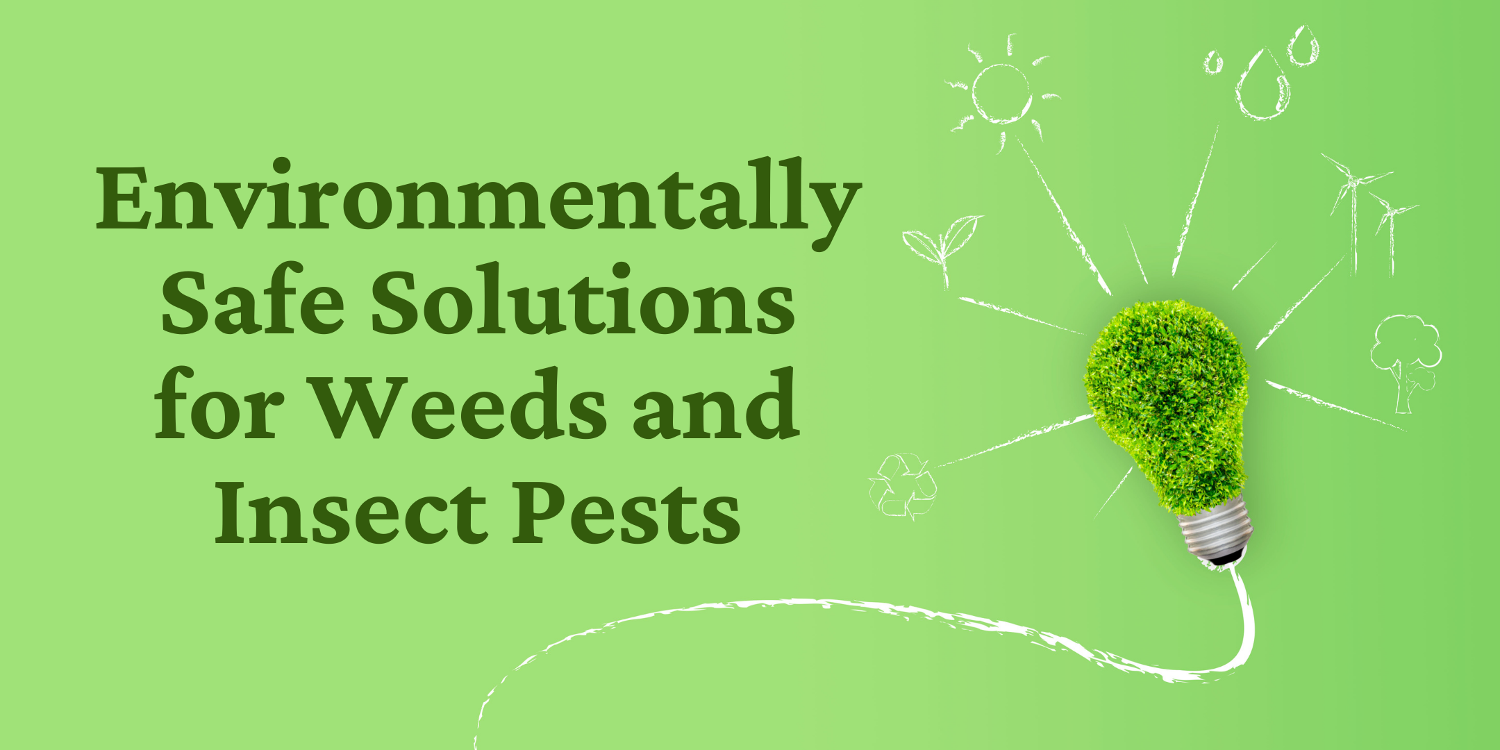 Environmentally Safe Solutions for Weeds and Insect Pests