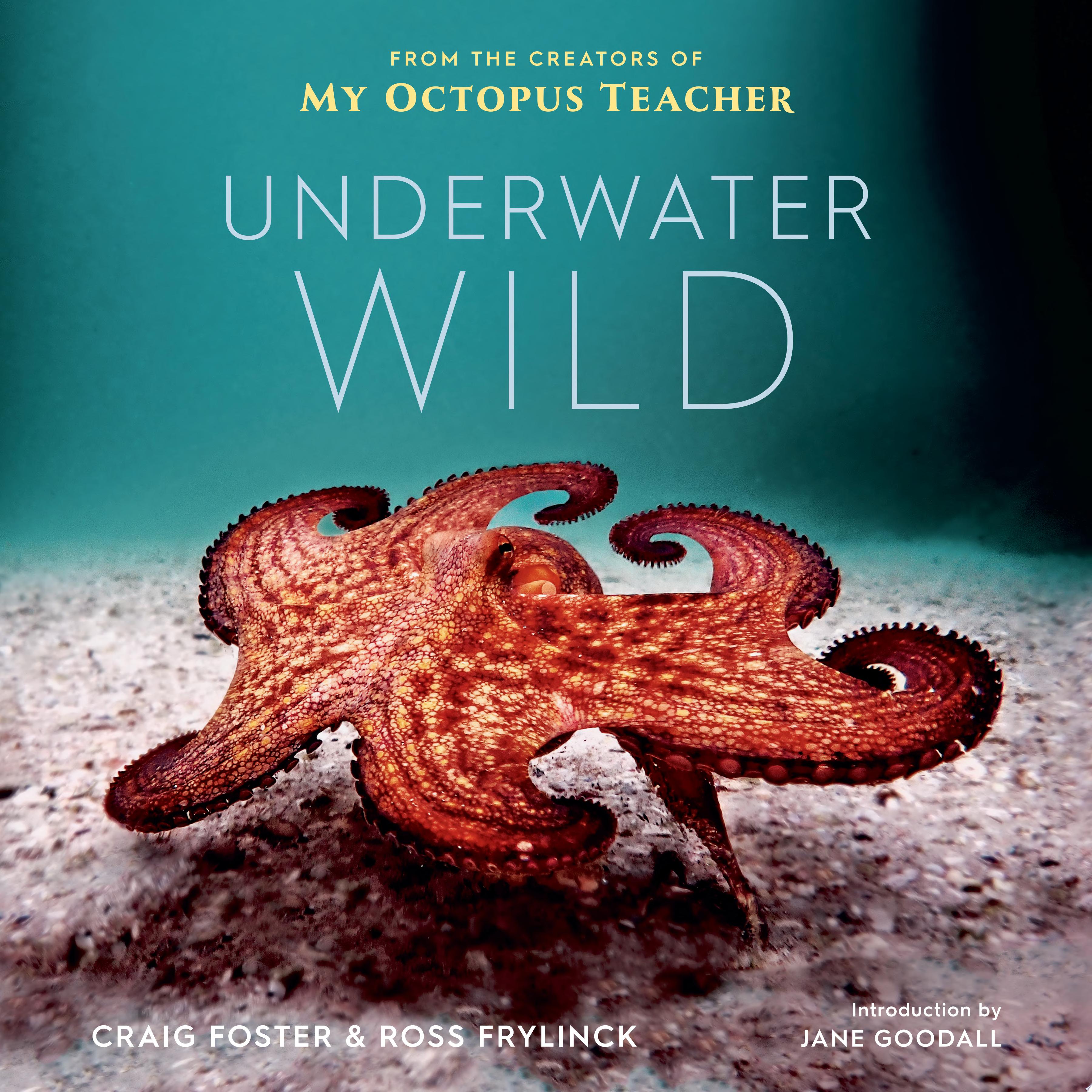 Image for "Underwater Wild"