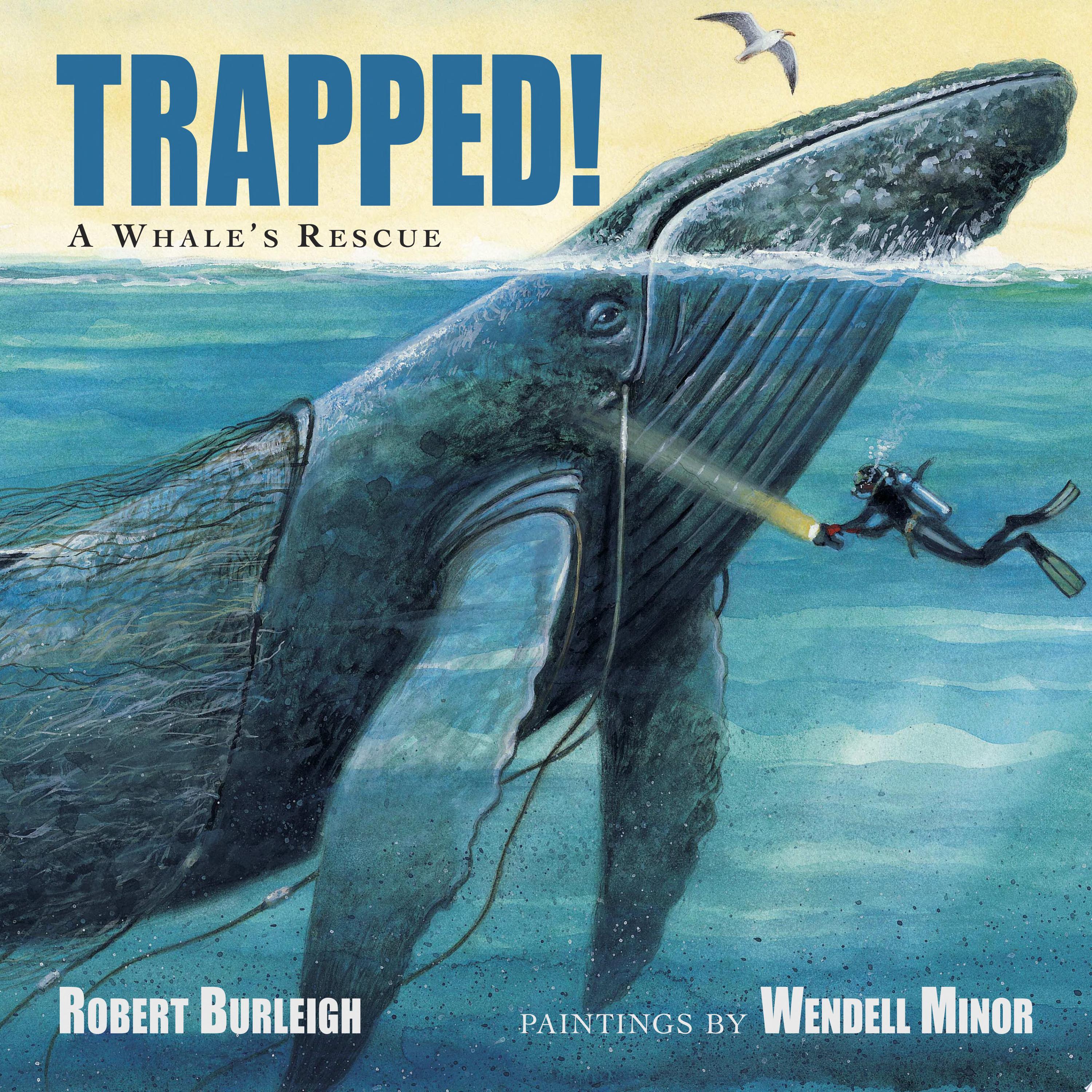 Image for "Trapped! A Whale&#039;s Rescue"