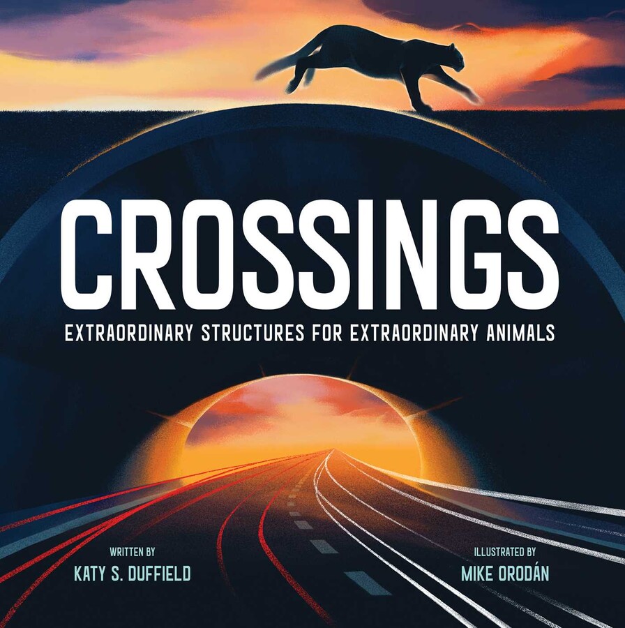 Image for "Crossings"