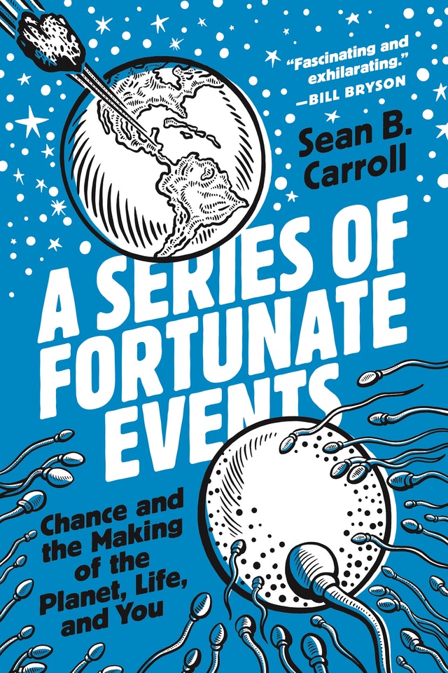 Image for "A Series of Fortunate Events"
