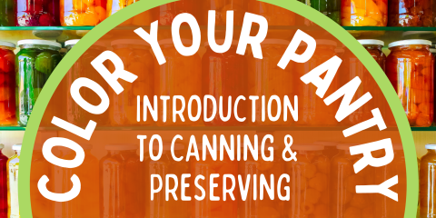Color Your Pantry: Introduction to Canning and Preserving image