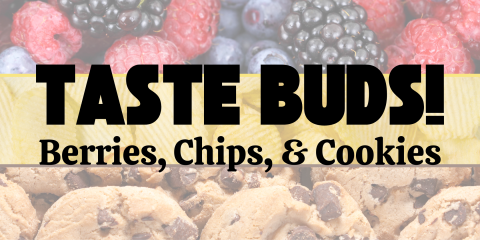 image of text stating Taste Buds!: Berries, Chips, & Cookies on a tinted background photos of the same food groups.